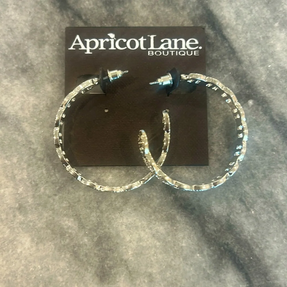 Earrings - Picture 1 of 2